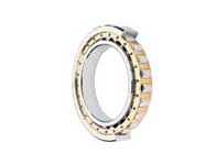 Cylindrical Bearing Dealer